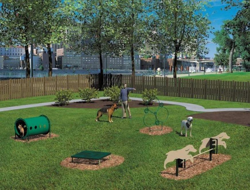 Outdoor dog exercise course on grass with tunnel, jump bars, hoop, and platform, featuring slip-resistant thermoplastic coating