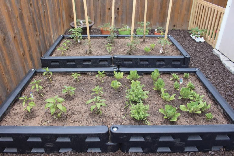 Black plastic modular playground borders with spikes forming raised garden beds containing young plants and soil in a fenced backyard corner