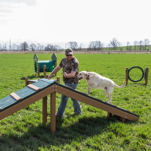 Dog climbing wooden-textured recycled plastic hilltop agility ramp with slats, guided by man in grassy dog park setting