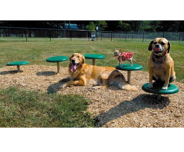 Green thermoplastic-coated stepping pods arranged in a dog park with three dogs demonstrating agility and balance on the equipment