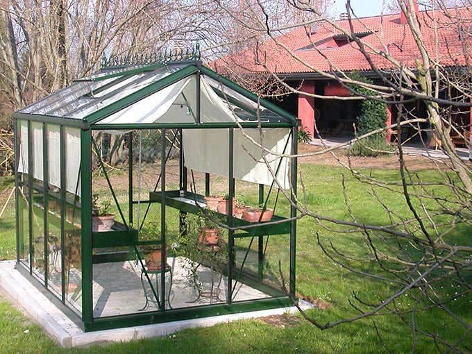 Royal Victorian Top Shelf narrow green metal frame with potted plants inside a greenhouse