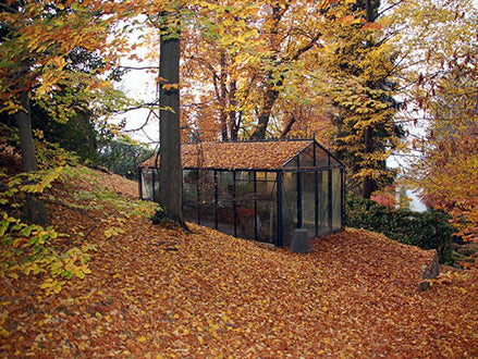 Classic black-framed glass greenhouse with multiple roof windows, nestled on a sloped forest floor amid autumn trees and fallen leaves