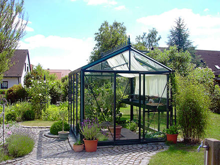 Classic dark metal frame Victorian-style greenhouse with green glass panels, roof vents, and potted plants inside and outside in a garden setting