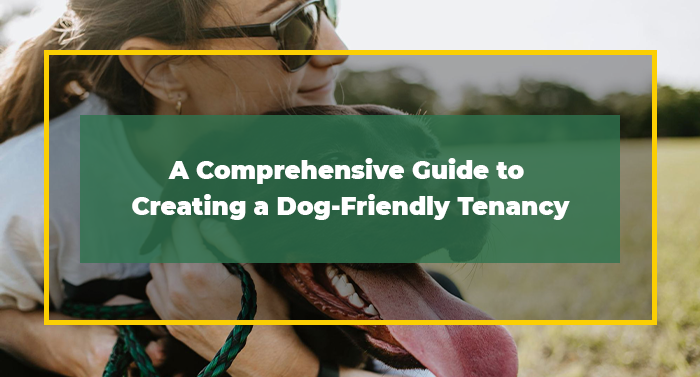 A Comprehensive Guide to Creating a Dog-Friendly Tenancy