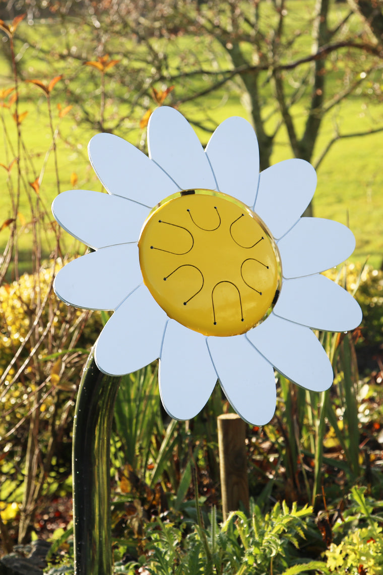 Daisy Petal Drum (A-Minor)
