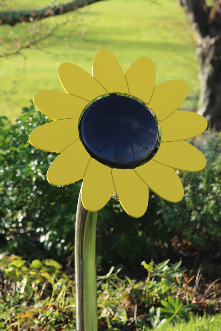 Sunflower Petal Drum (C-Pygmy)