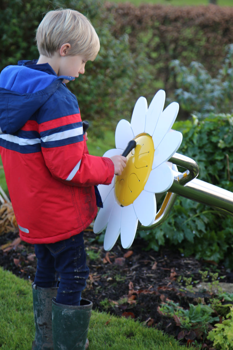 Daisy Petal Drum (A-Minor)