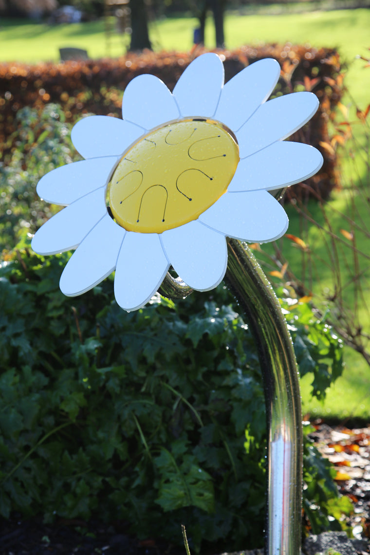 Daisy Petal Drum (A-Minor)