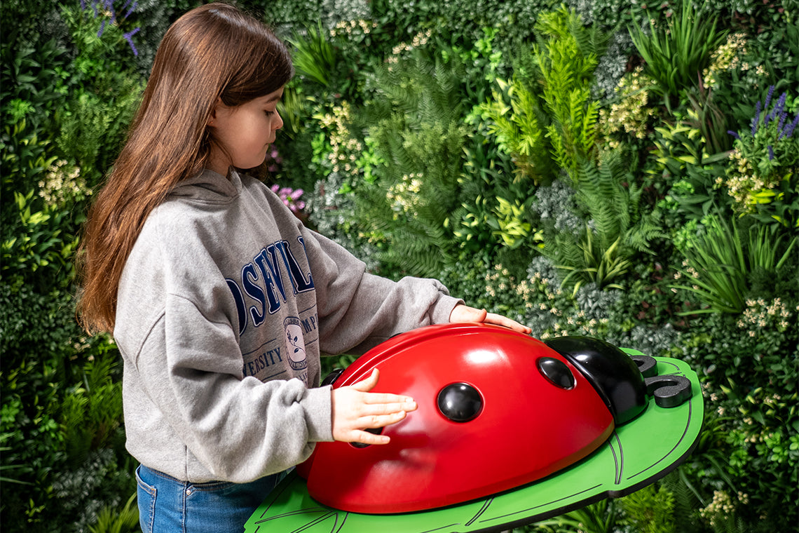 Ladybug