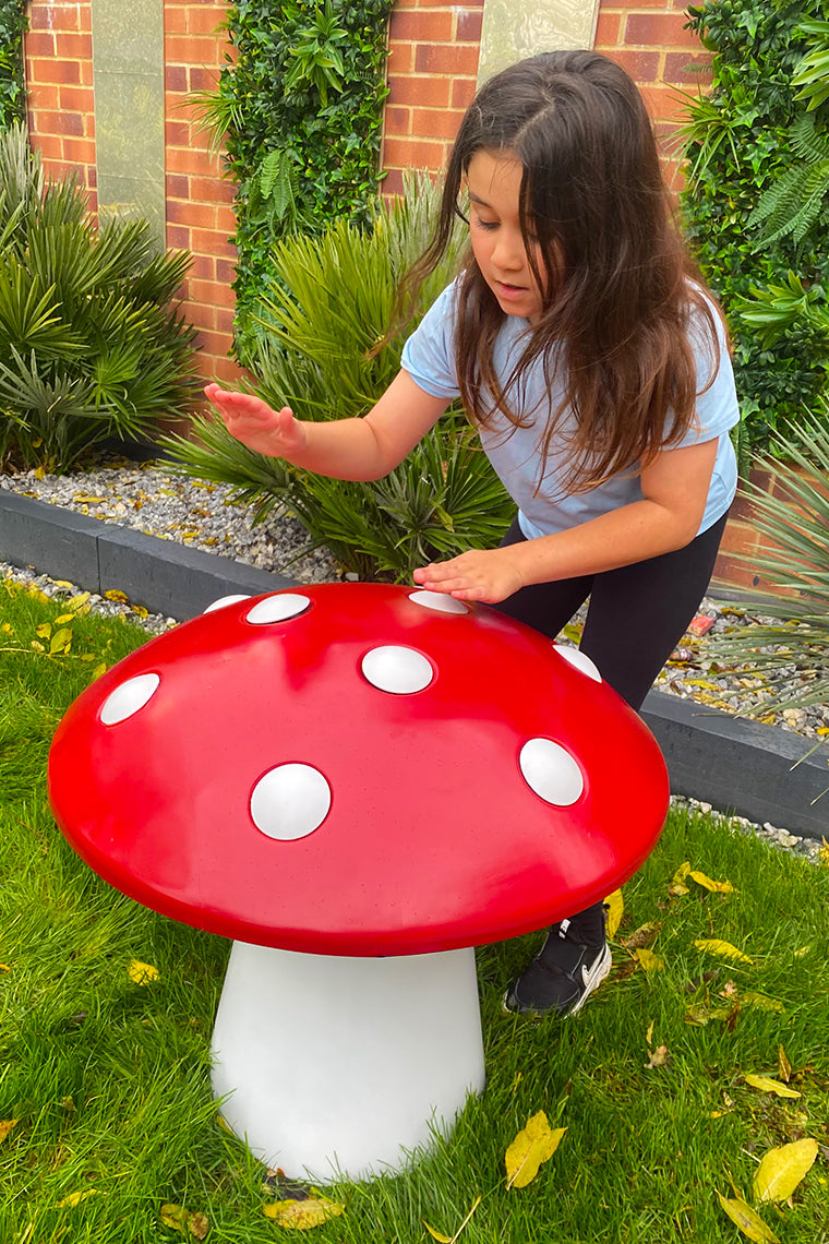 Toad Stool