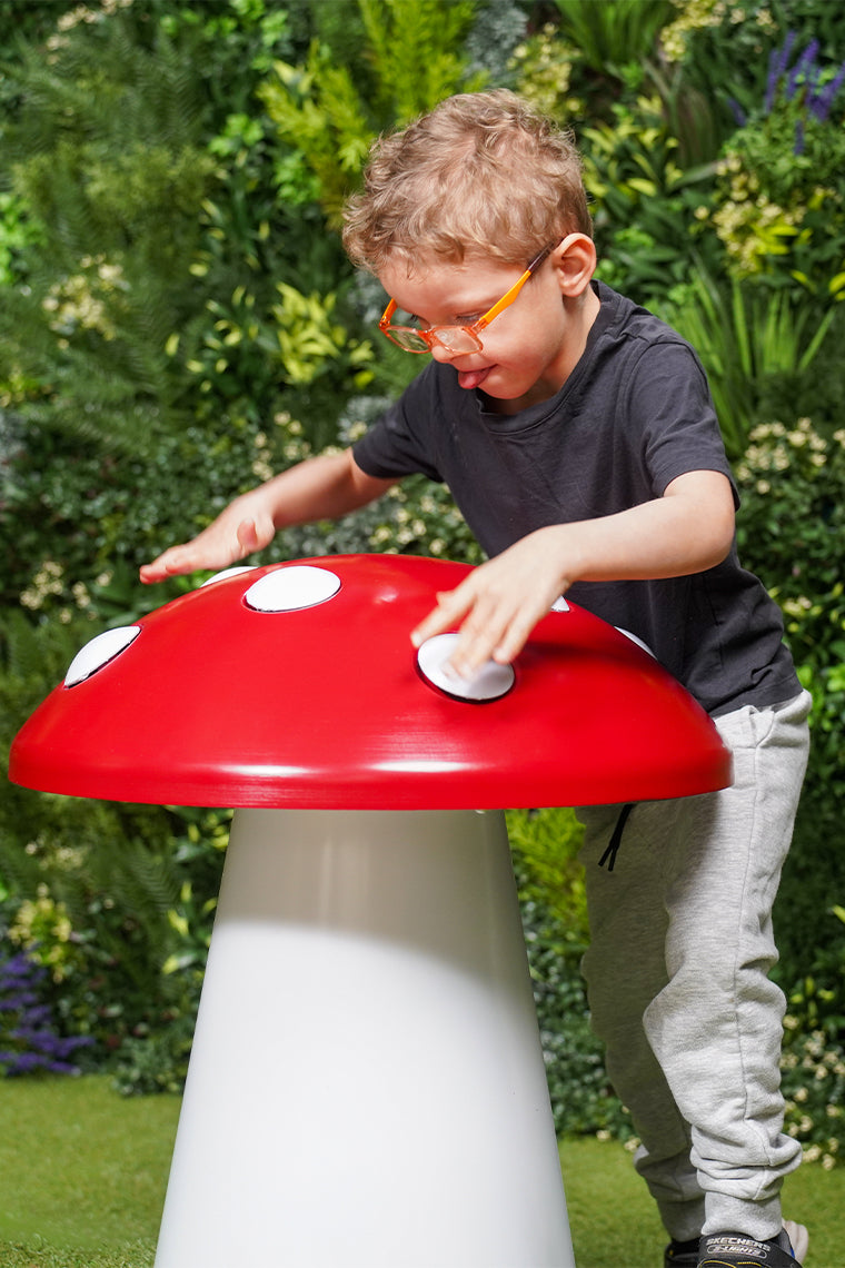 Toad Stool