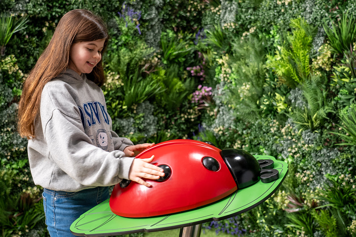 Ladybug