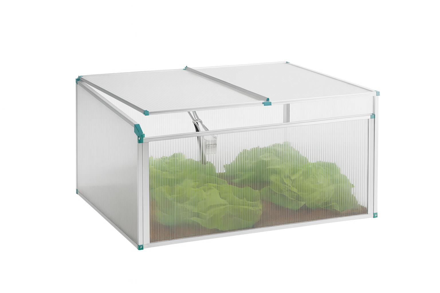BioStar 1000 Premium Cold-Frame Mini Greenhouse with clear twin-wall polycarbonate panels and green leafy plants inside
