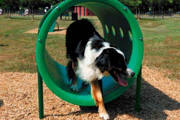 Dog Park Equipment