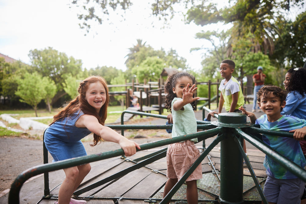ShreveportBossier City Louisiana Playground Equipment WillyGoat