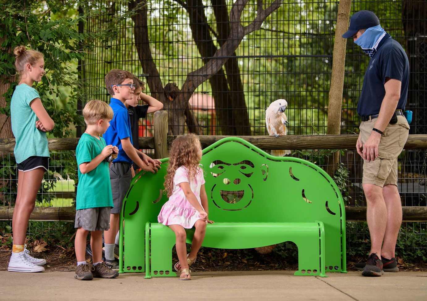 4' Gorilla Bench | WillyGoat Playgrounds 4' Gorilla Bench | WillyGoat Playgrounds