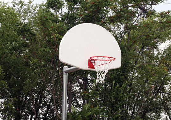 Basketball Goal And 3.5 Inch Post -Adjustable Fiberglass Fan
