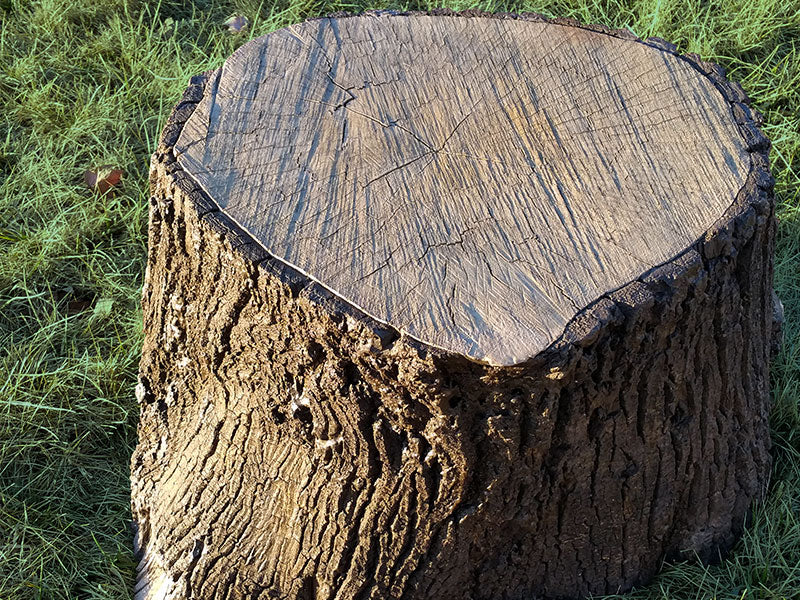 Bear Stump Wood Seat