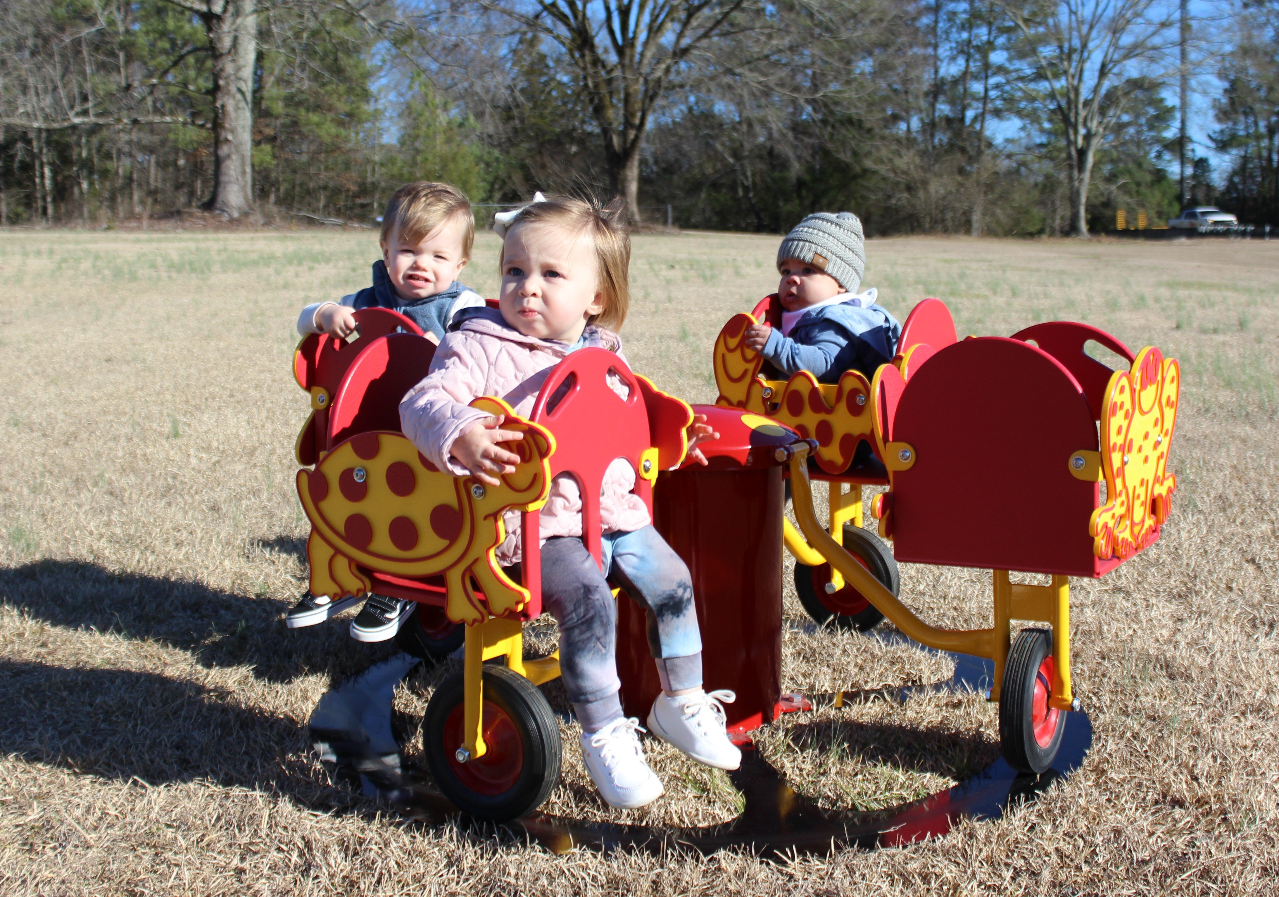 Carrington's Carousel