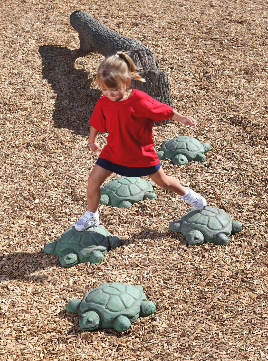 Nature Themed Turtle Steppers - Set Of 5 | WillyGoat Playgrounds
