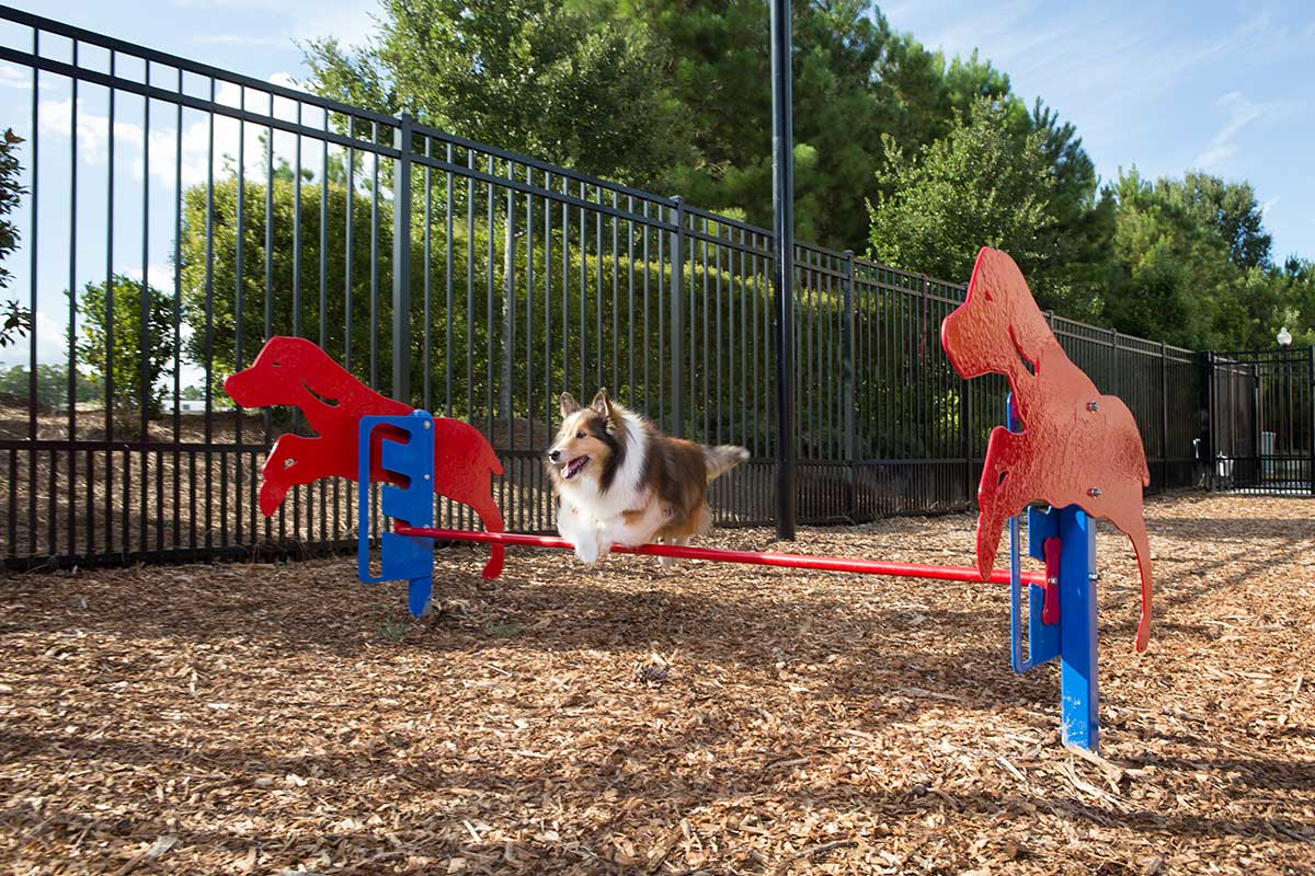 Rover Jump Over Dog Exercise Equipment WillyGoat Playgrounds