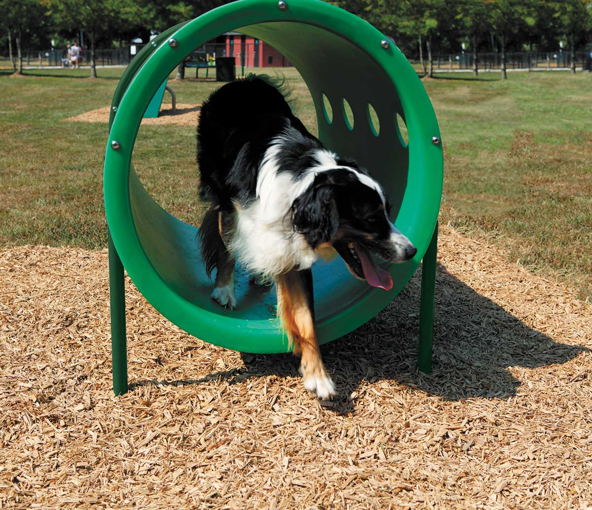 The Doggie Crawl | WillyGoat Playground & Park Equipment