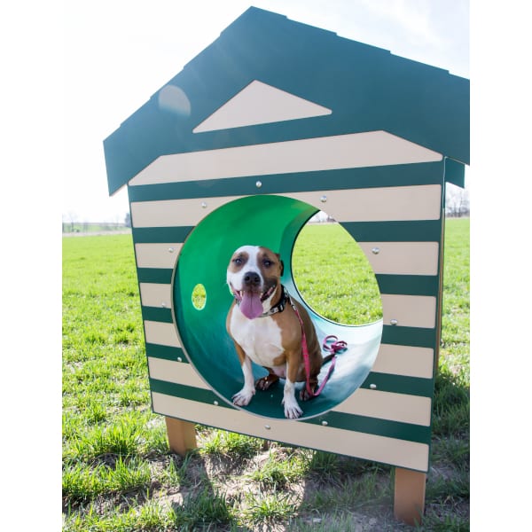 Recycled Crawl Tunnel with Dog House